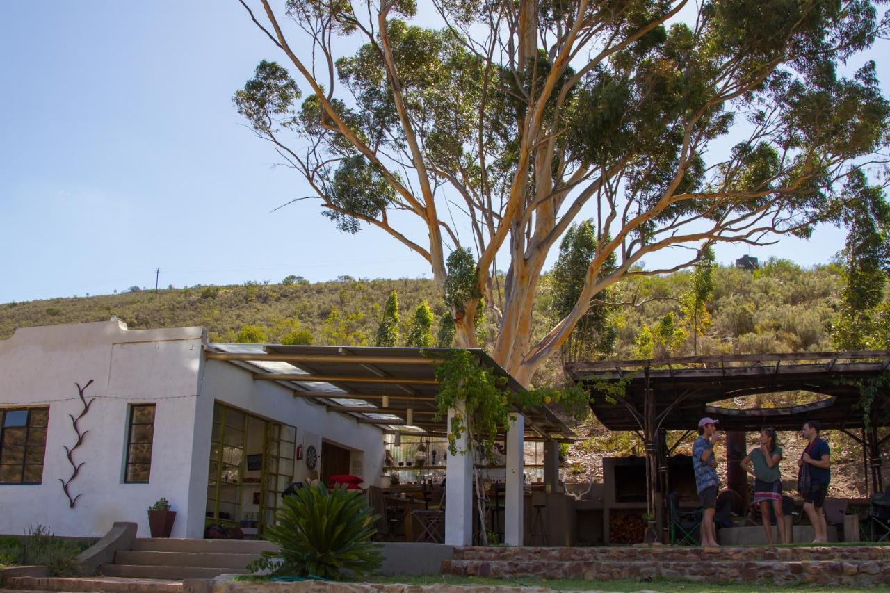 Porcupine Hills Olive And Guest Farm Villa Botrivier Kültér fotó
