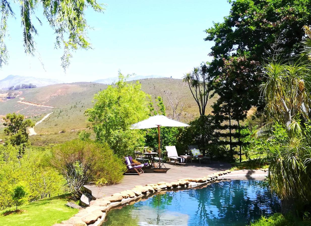 Porcupine Hills Olive And Guest Farm Villa Botrivier Kültér fotó